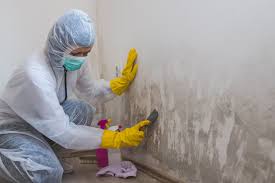 Trusted Athens, IL Mold Prevention & Removal  Experts